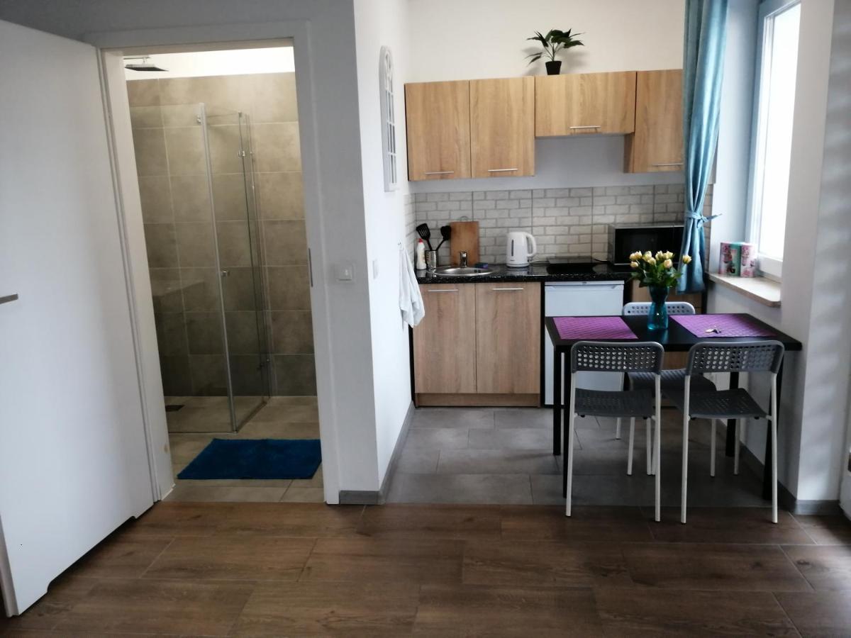 Pokoje - Studio Gliwice I Przy Onkologii 外观 照片